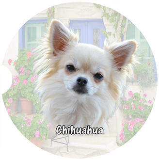 [Unique Home Decor, Ornaments, and Gifts Online]-Traci's Fun Creations