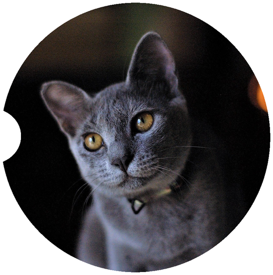 [Unique Home Decor, Ornaments, and Gifts Online]-Traci's Fun Creations