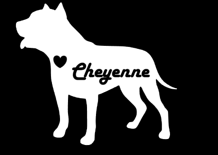 [Unique Home Decor, Ornaments, and Gifts Online]-Traci's Fun Creations