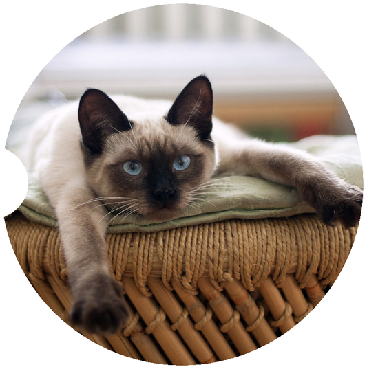 [Unique Home Decor, Ornaments, and Gifts Online]-Traci's Fun Creations