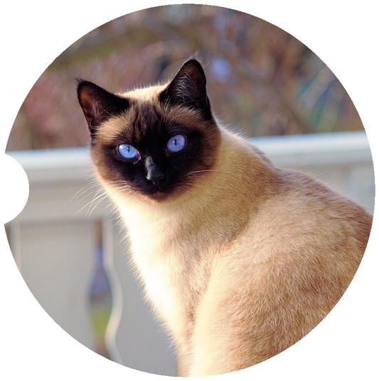 [Unique Home Decor, Ornaments, and Gifts Online]-Traci's Fun Creations