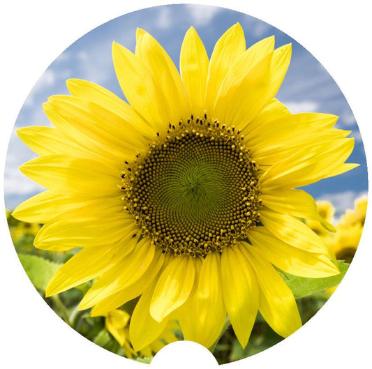 [Unique Home Decor, Ornaments, and Gifts Online]-Traci's Fun Creations
