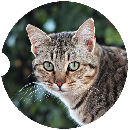 [Unique Home Decor, Ornaments, and Gifts Online]-Traci's Fun Creations