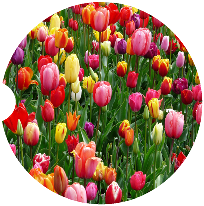 [Unique Home Decor, Ornaments, and Gifts Online]-Traci's Fun Creations