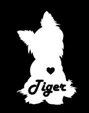 [Unique Home Decor, Ornaments, and Gifts Online]-Traci's Fun Creations